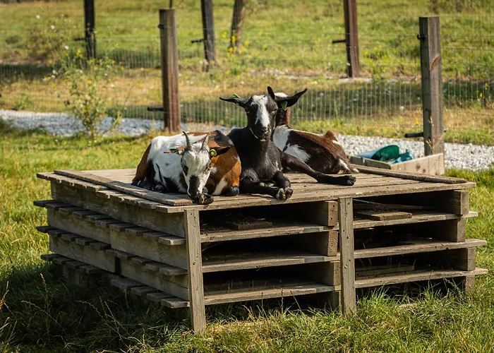 Semesterbostad Landgoed Versteegh Nabij Heerlijkheid Marienwaerdt
