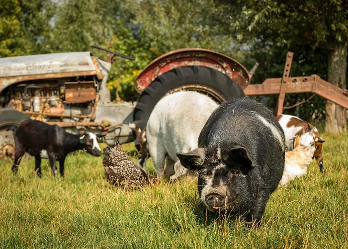 Landgoed Versteegh Nabij Heerlijkheid Marienwaerdt Semesterbostad Beesd